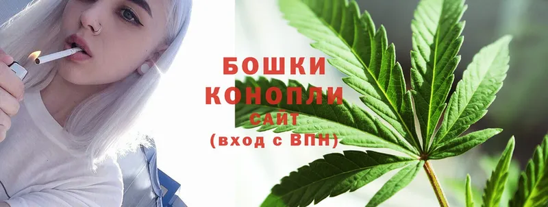 Каннабис Bruce Banner  дарнет шоп  Алзамай 